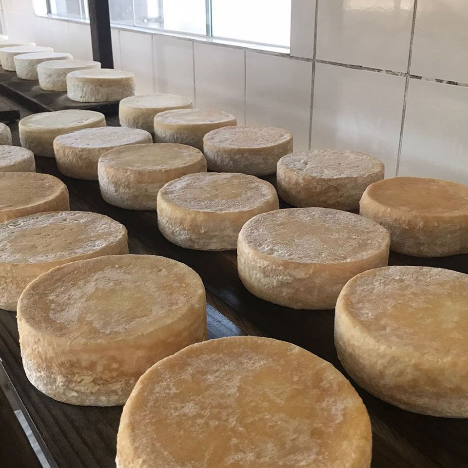 Queijaria Tradição Vilela