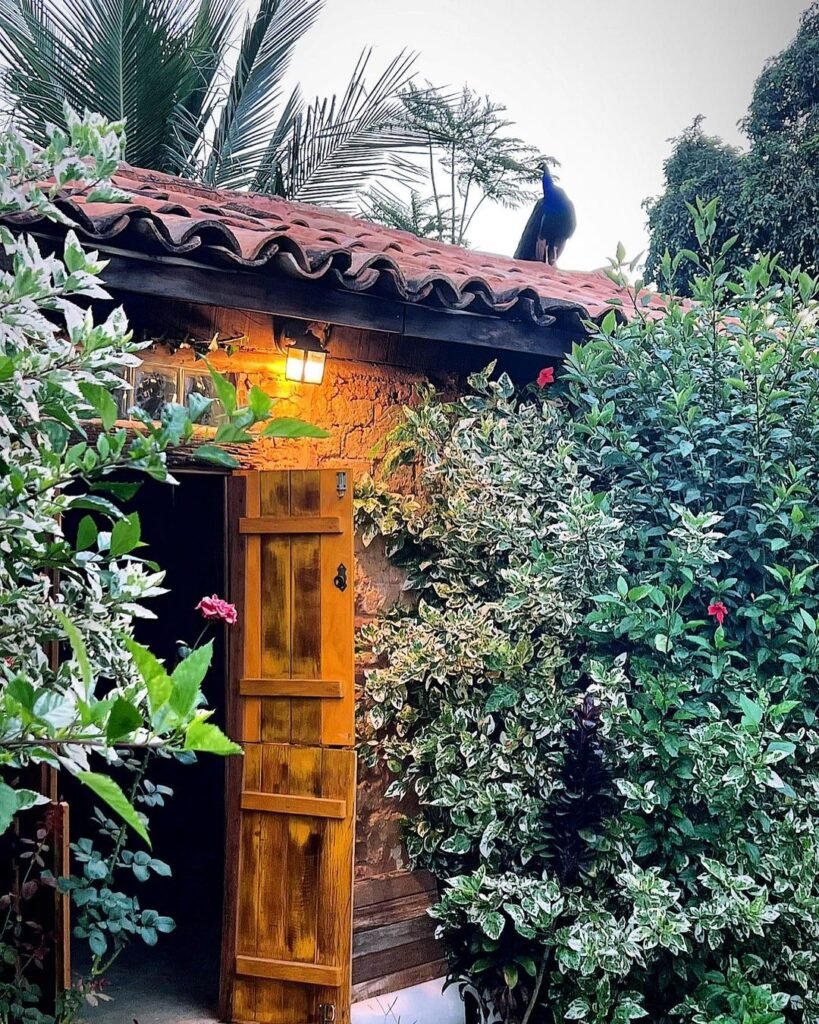 Encanto da Canastra (Mini Zoo - Fazendinha)