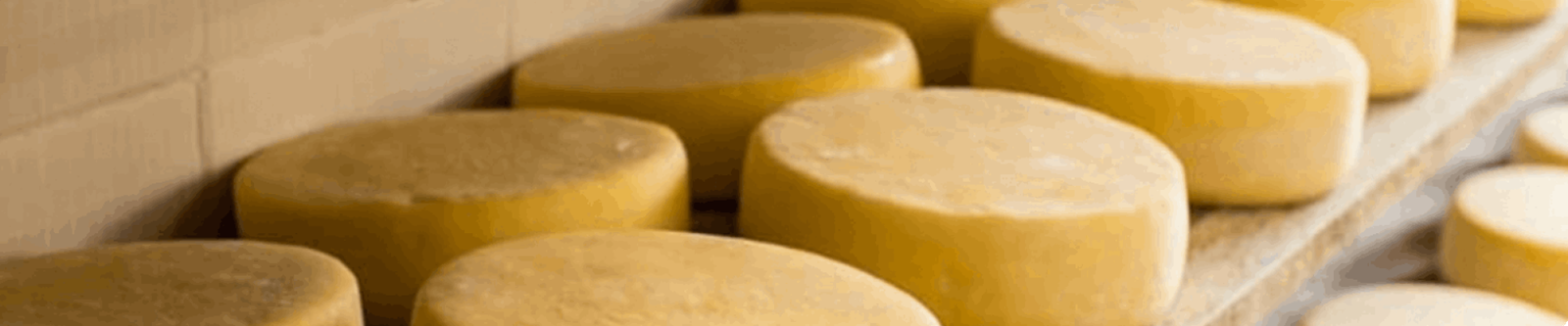 queijo2-1-1600x1300